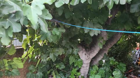 Foto 5 de Casa o xalet en venda a Ugena, Toledo