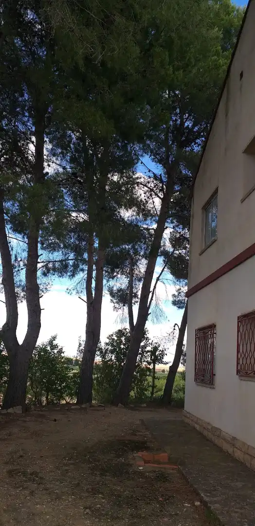 Vista exterior de Casa o chalet en venta en Híjar con Calefacción, Jardín privado y Parquet