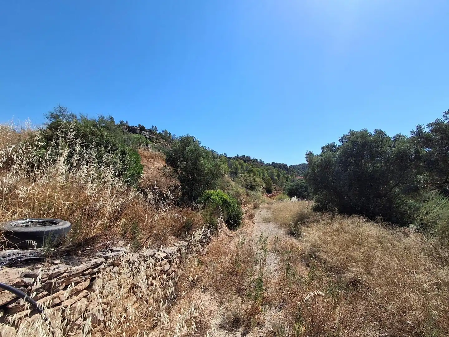 Finca rústica en venda en Riba-roja d'Ebre