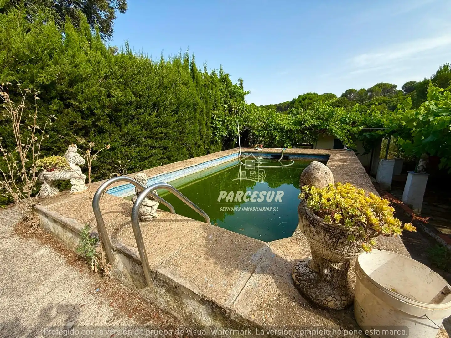 Piscina de Casa o xalet en venda en Córdoba amb Traster i Piscina