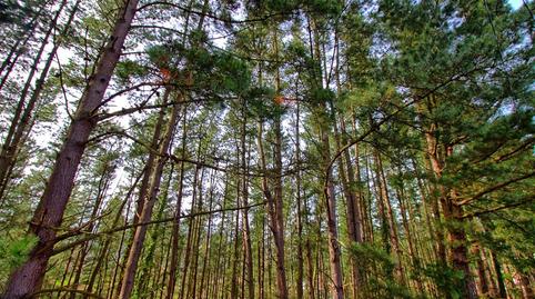 Foto 5 de Terreno en venta en Barrio Arbiz, Balmaseda, Bizkaia