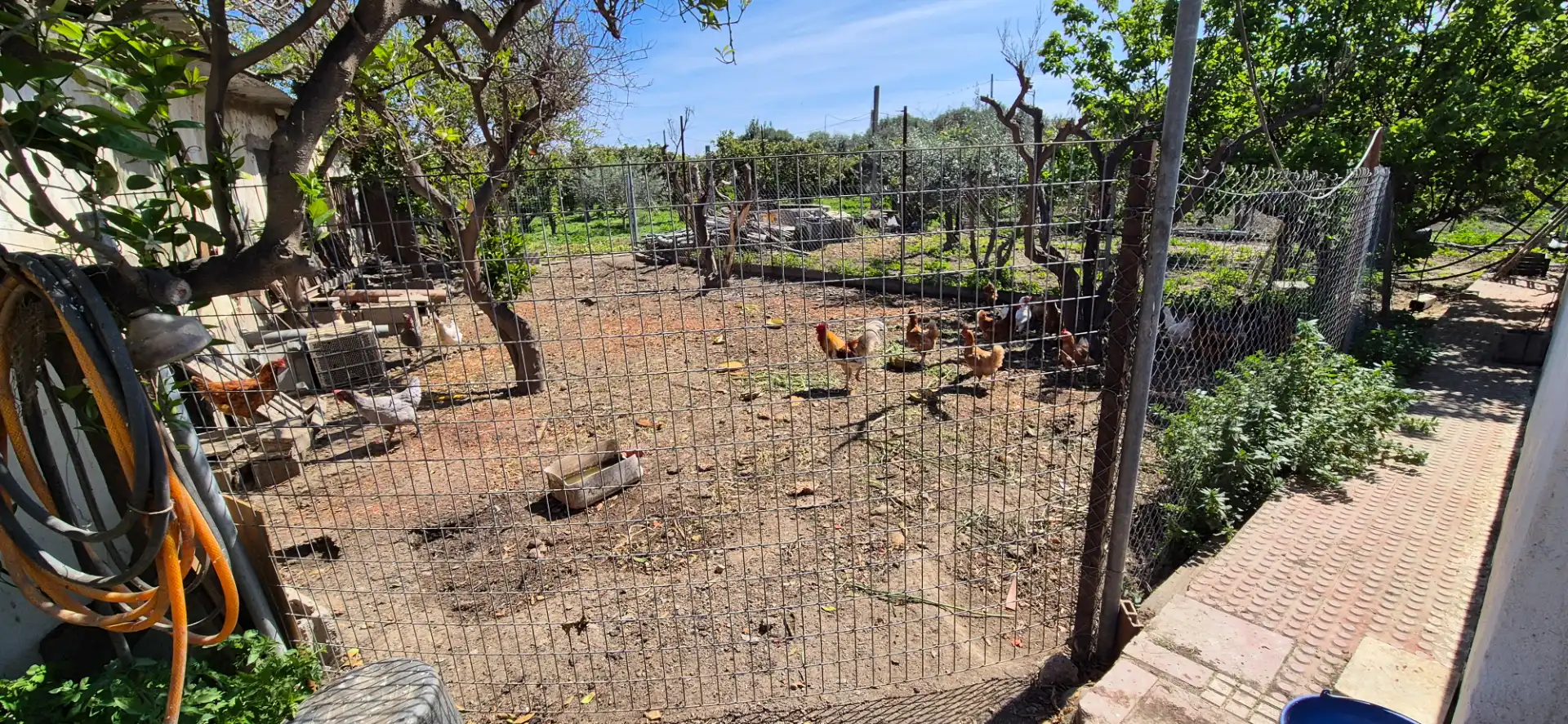 Finca rústica en venda en Benahadux
