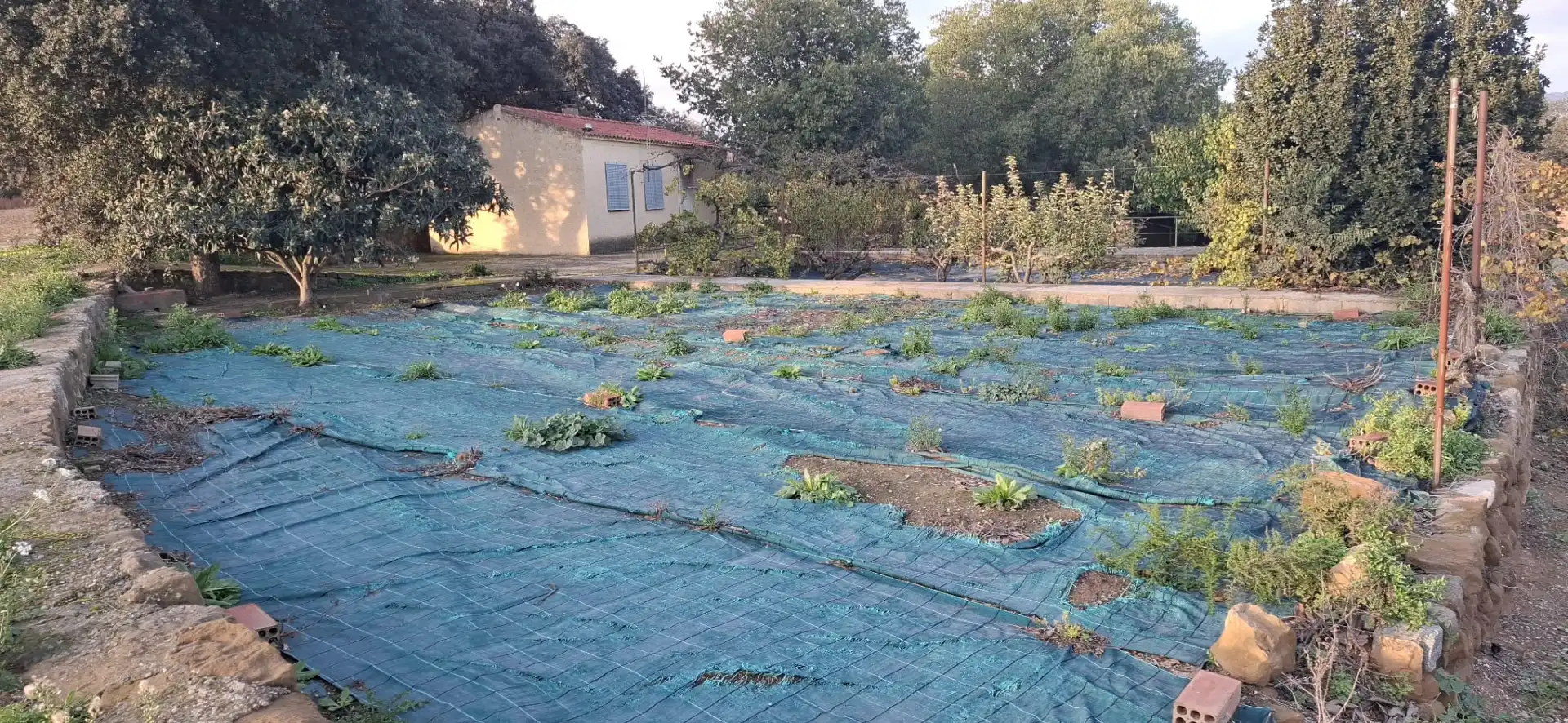 Jardín de Casa o chalet en venta en Cubells con Jardín privado, Trastero y Piscina