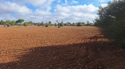 Photo 4 of Residential for sale in Llucmajor pueblo, Illes Balears