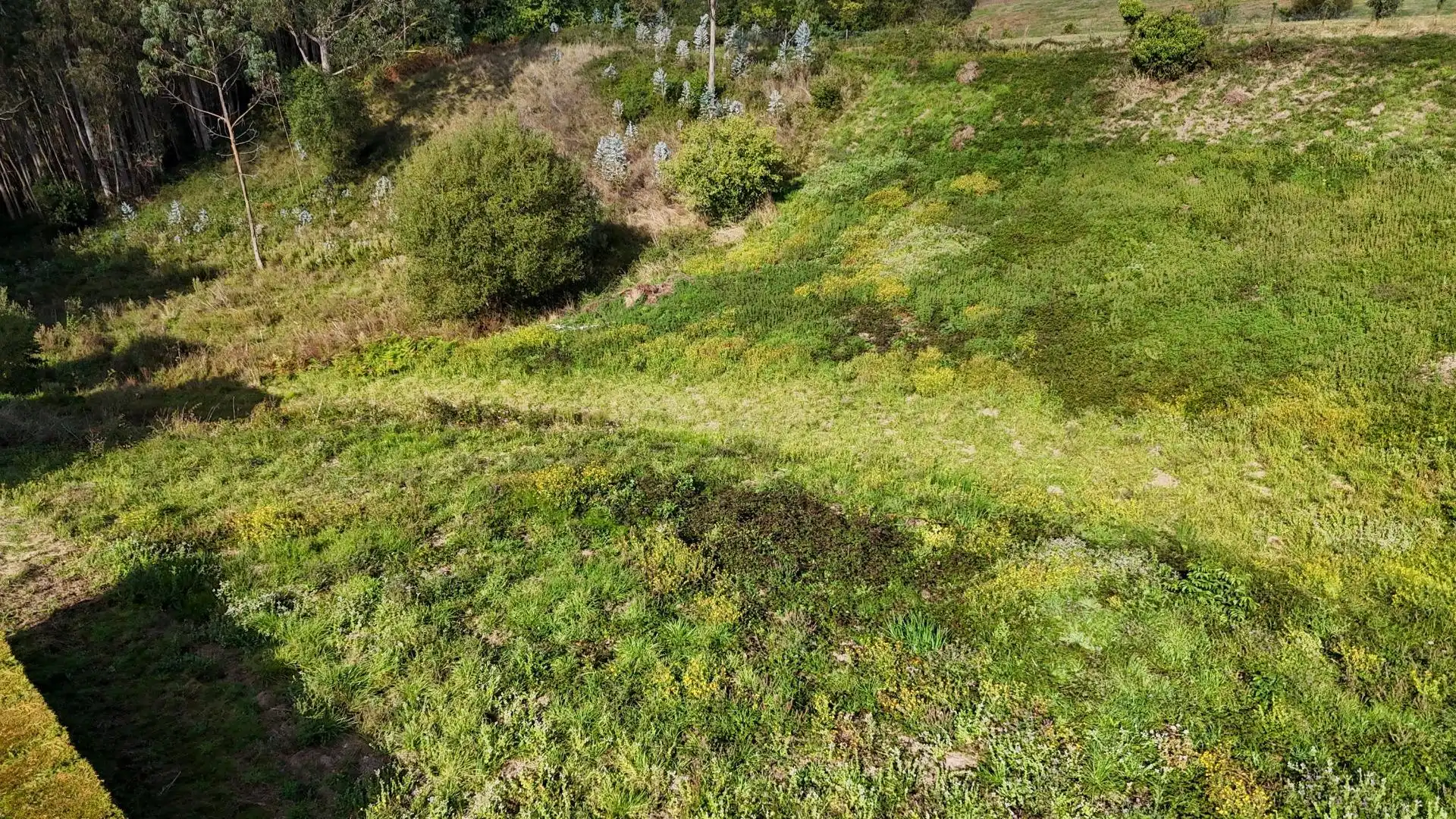 Residential land for sale in Lugar Pando, imagen 8