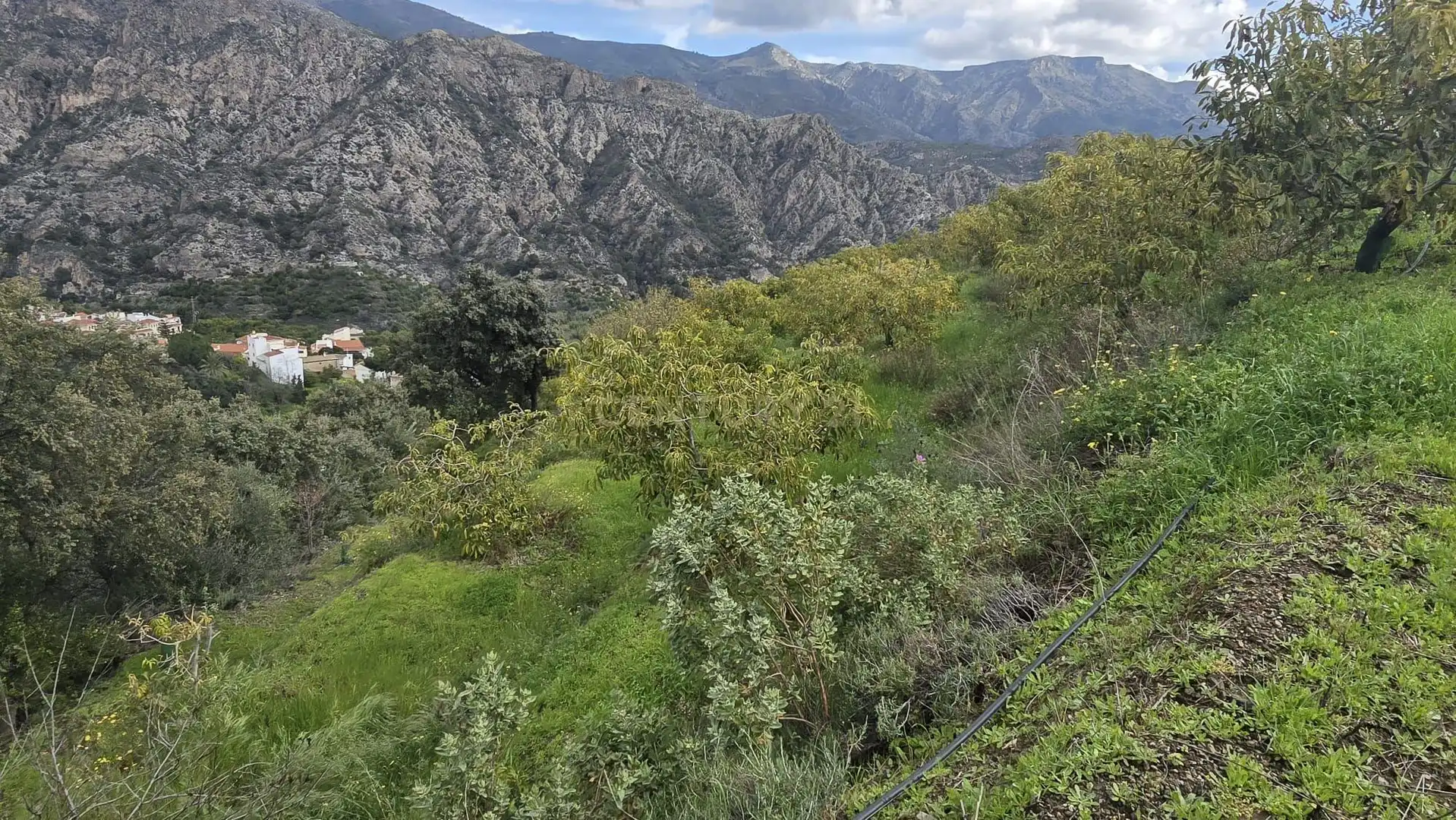 Terreno rustico in vendita a Polígono 11 Parcela 122 EL CERRILLO. LOS GUAJARES (GRANADA), imagen 5