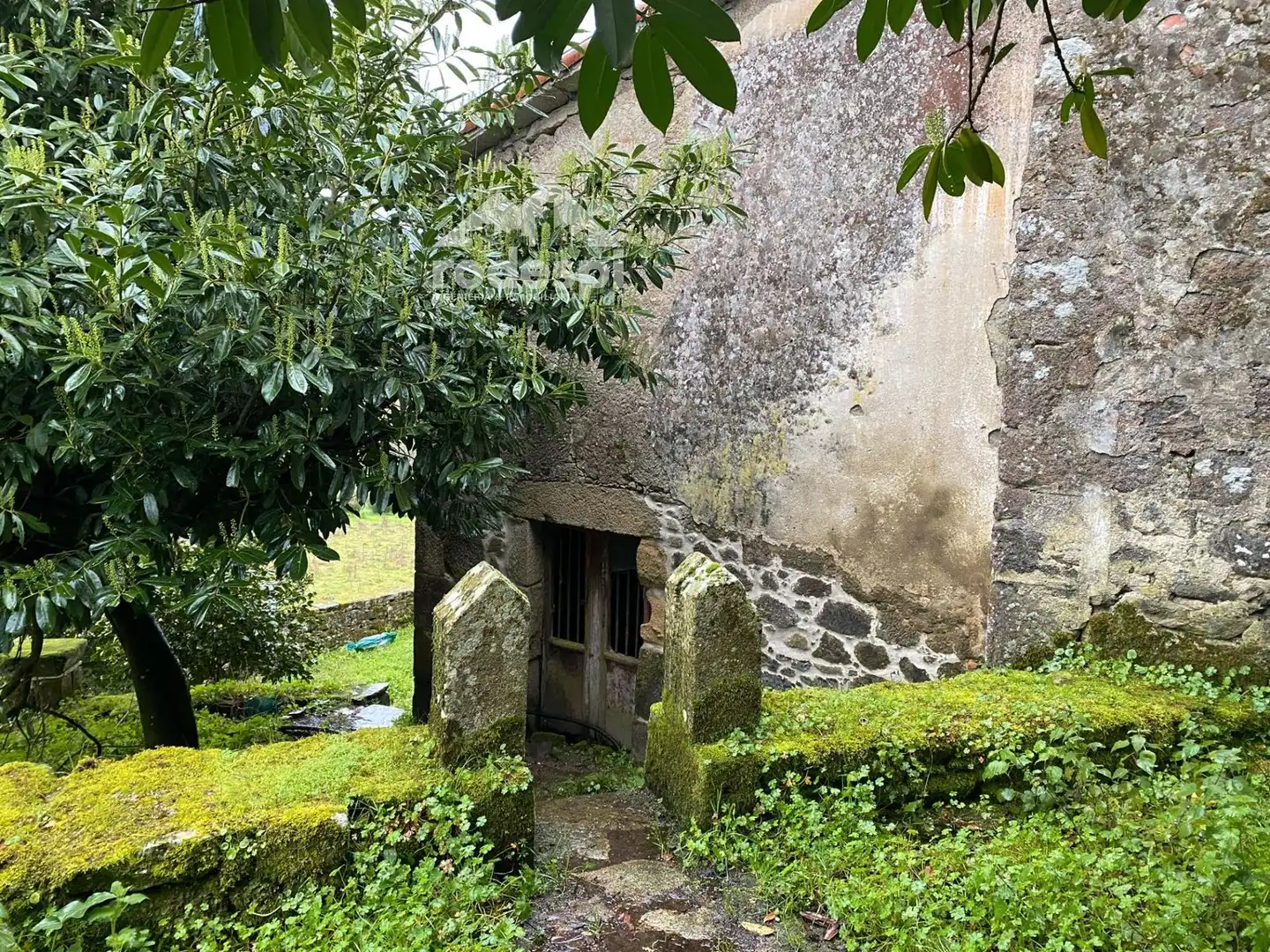Exterior view of Buildings for sale in Pantón