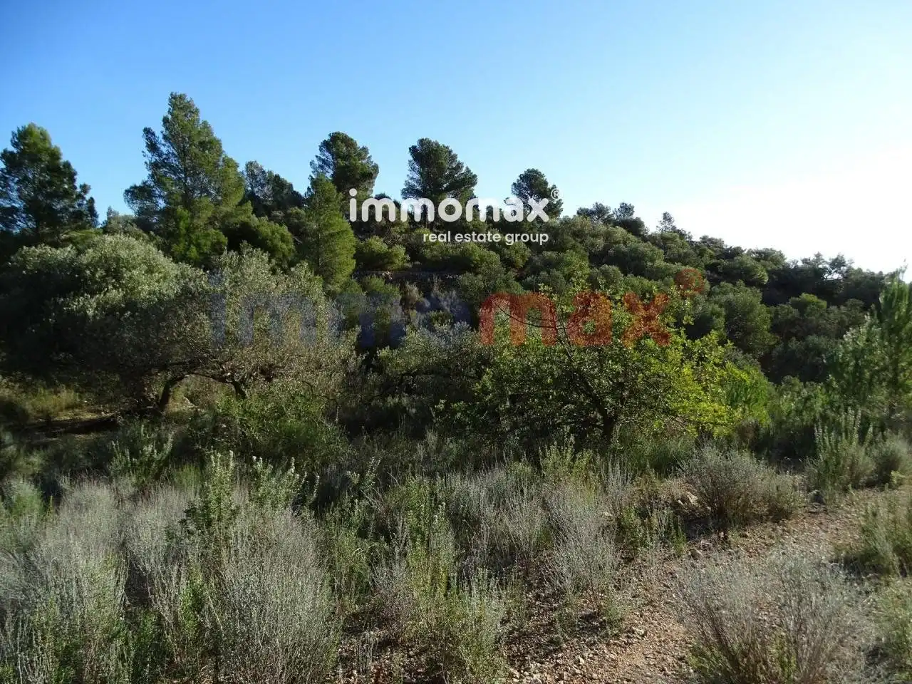 Terrain résidentiel à vendre à 16, imagen 16