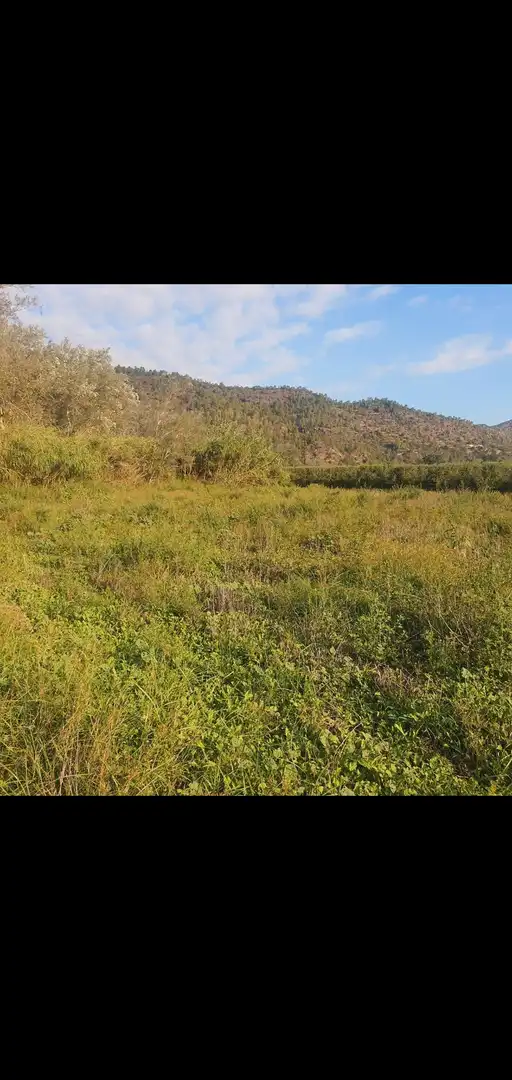 Terreno rústico en venta en Benifallet, imagen 2