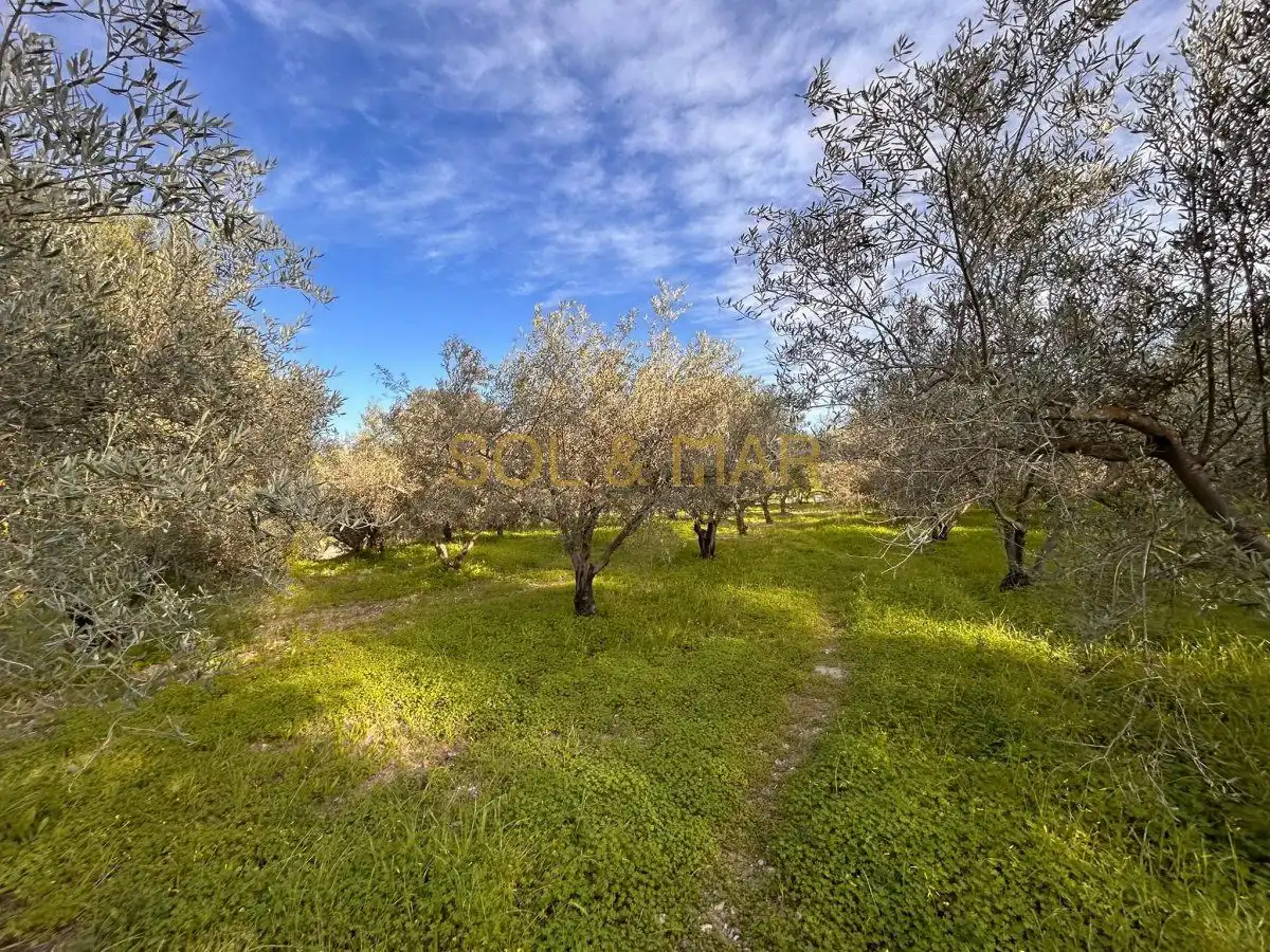 Casa rústica en venta en Nueva Aljaima - Las Tres Leguas - Los Mondeños, imagen 31