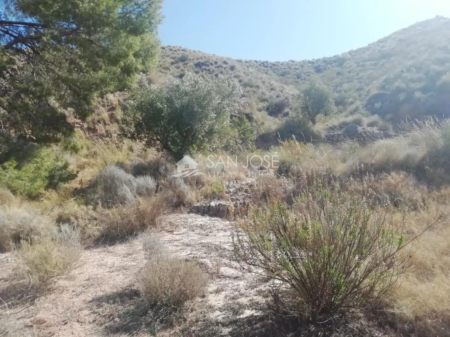 Lands and plots for sale in Abanilla, imagen 9