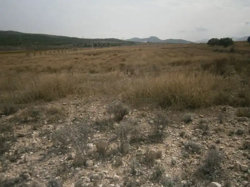 Land for sale in Castrillón
