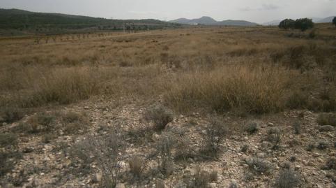 Photo 4 of Land for sale in Salinas, Castrillón