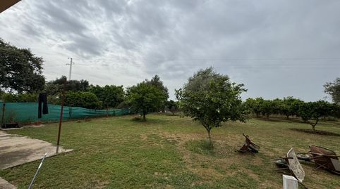 Foto 4 de Casa o chalet en venta en Carmona, Sevilla