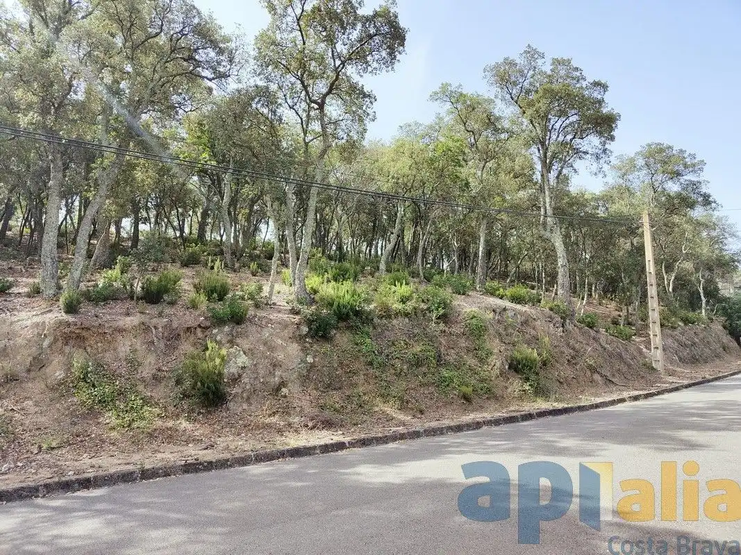 Terreny residencial en venda a Urbanitzacio de Vall Repos, imagen 2