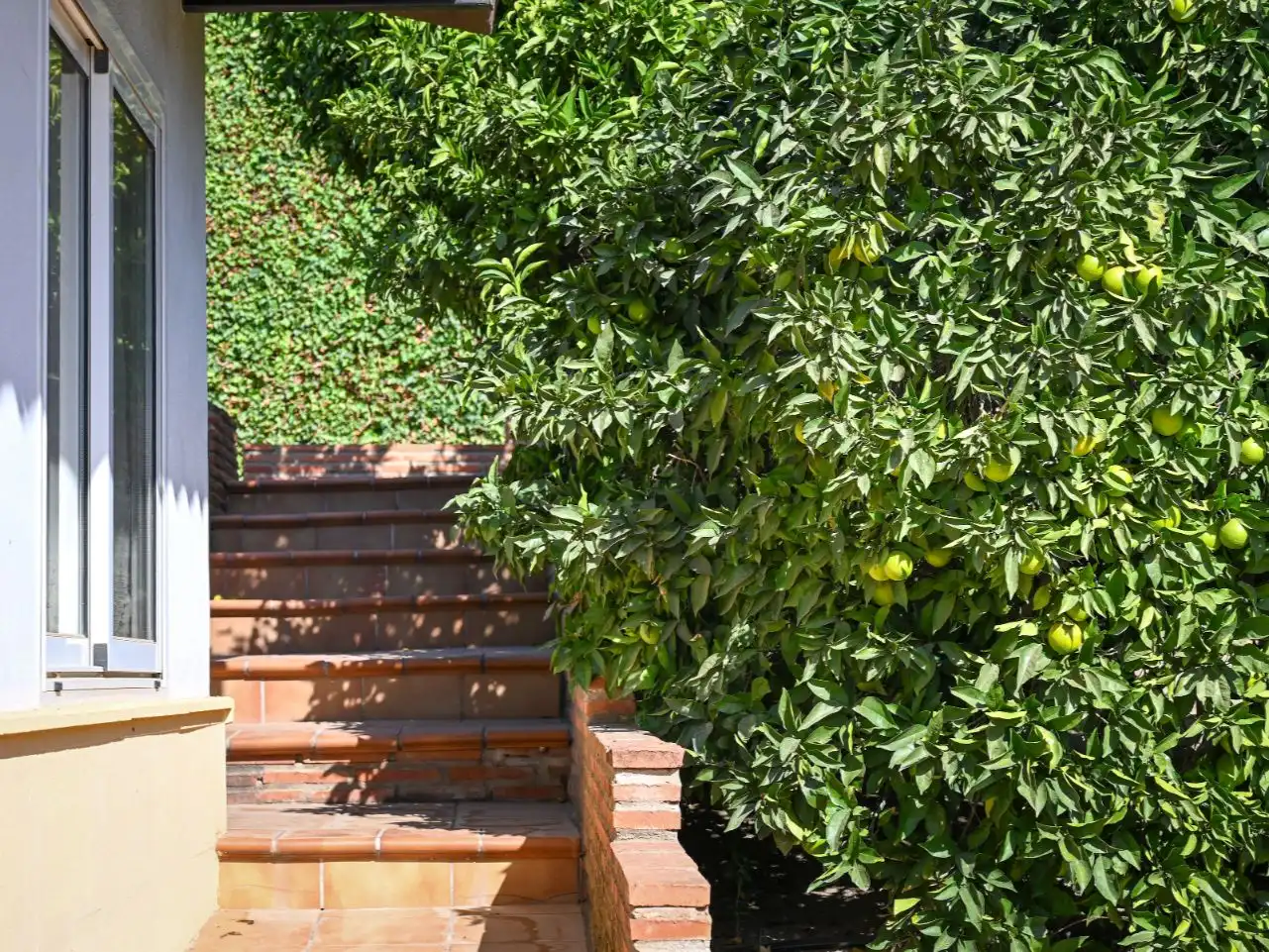 House with garden to rent in Calle Torreón 90, imagen 69