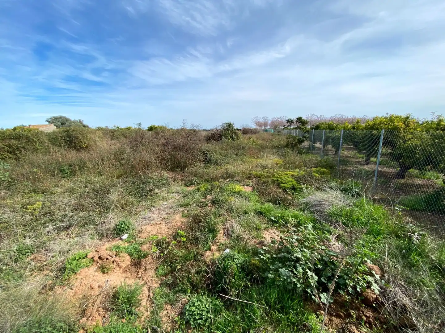 Terreno en venta en Vila-real