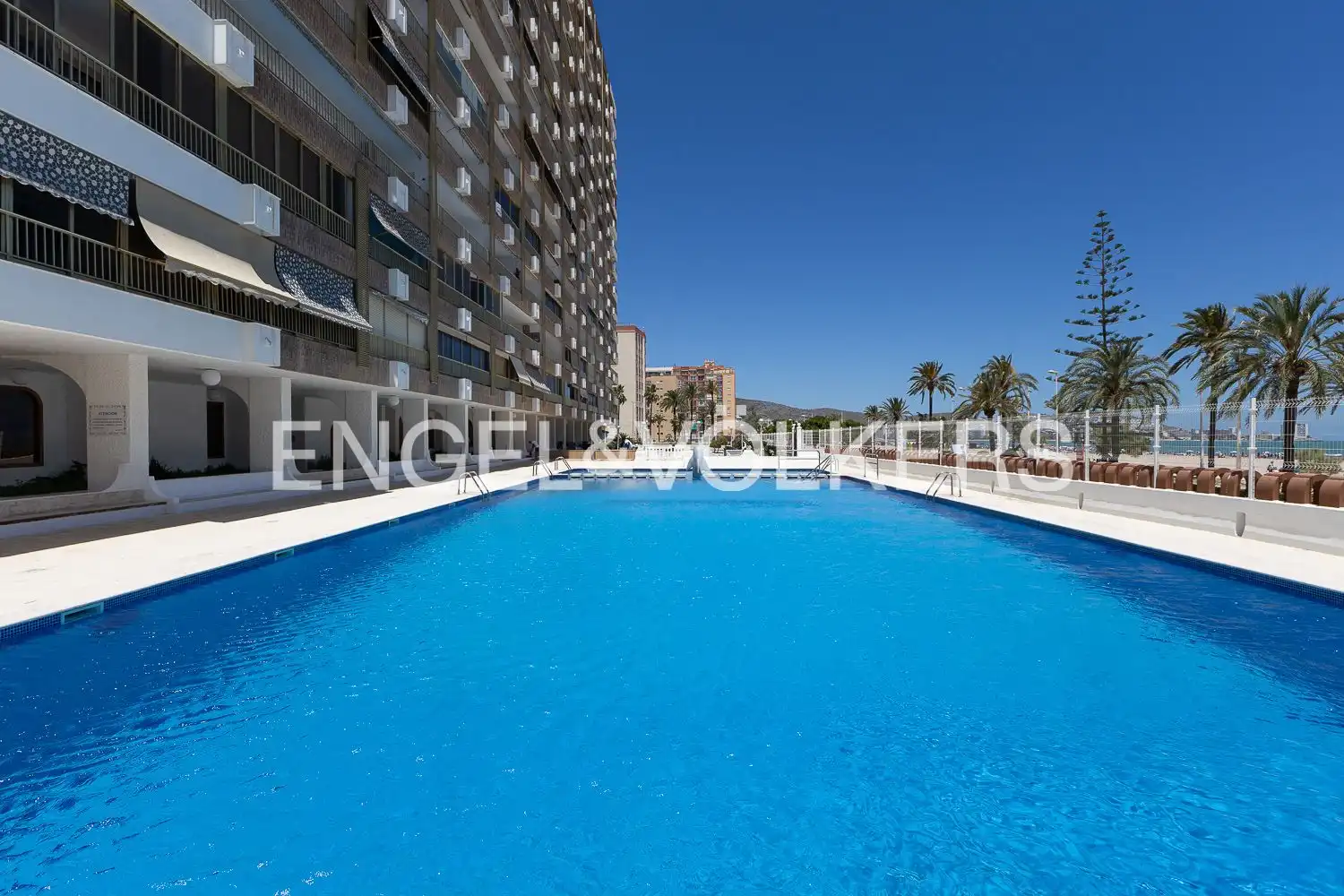 Swimming pool of Flat for rent in Cullera  with Heating, Terrace and Swimming Pool
