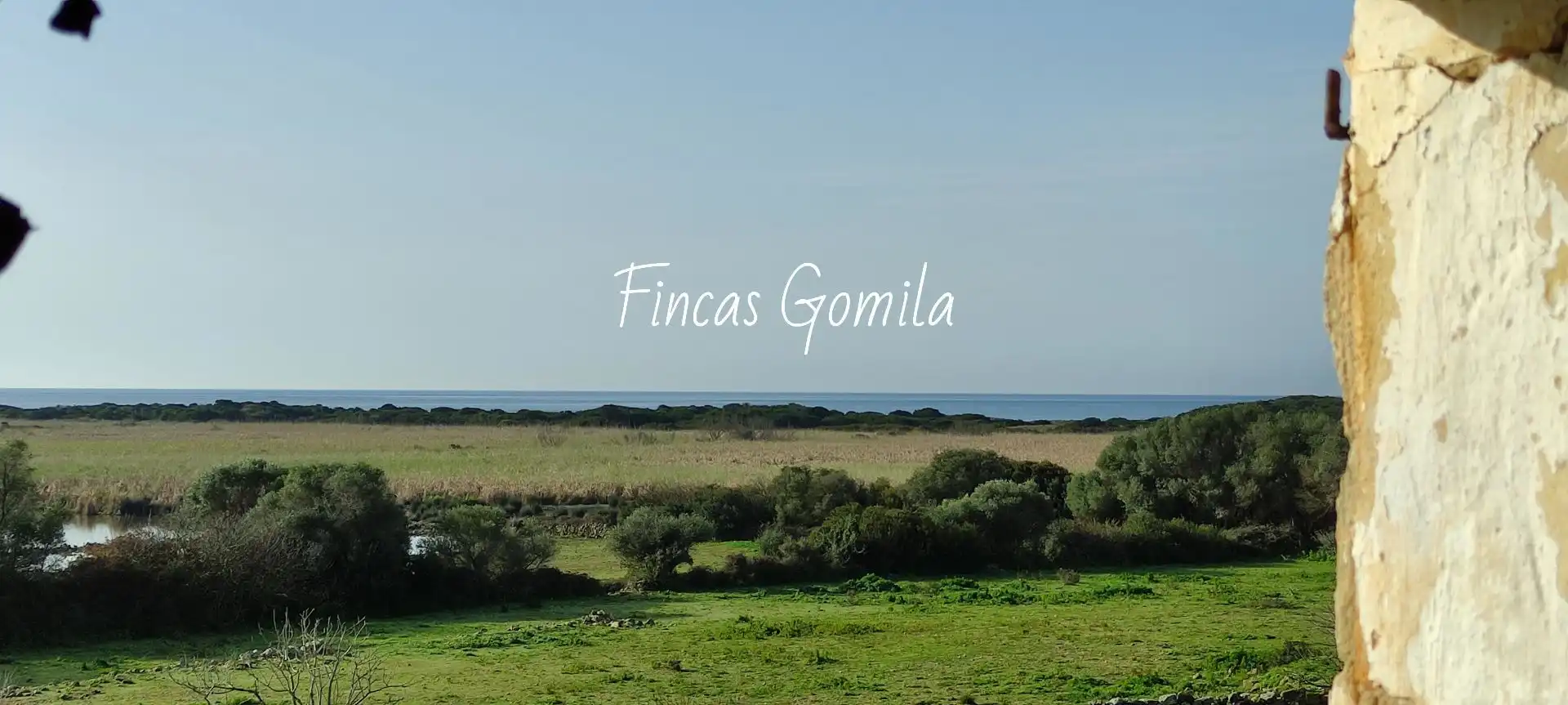 Finca rústica en venta en Alaior