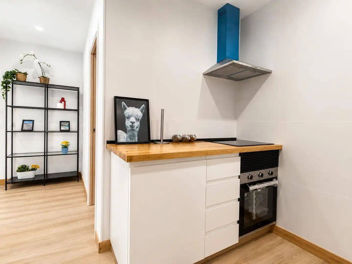 Apartment zum Verkauf in Magaluf, imagen 5
