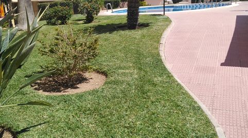 Foto 3 de Apartamento de alquiler en Xeraco, Valencia