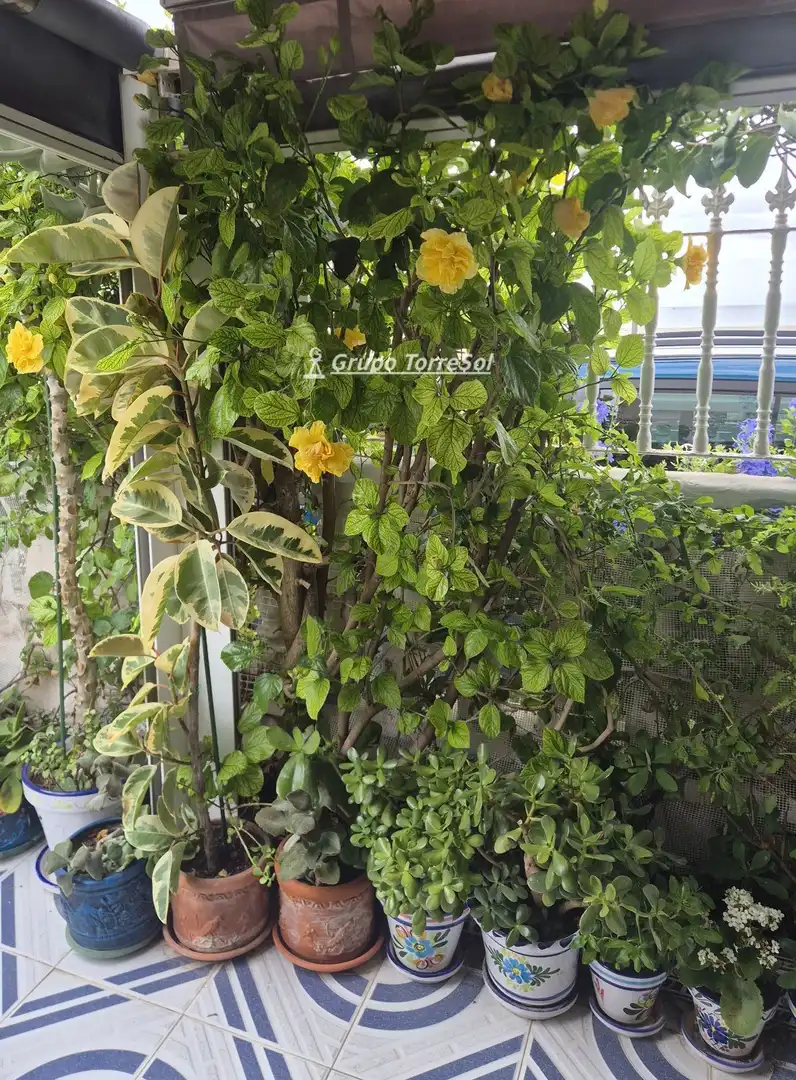 Casa bifamiliare con giardino in vendita a Vicente Blasco Ibañez, imagen 50