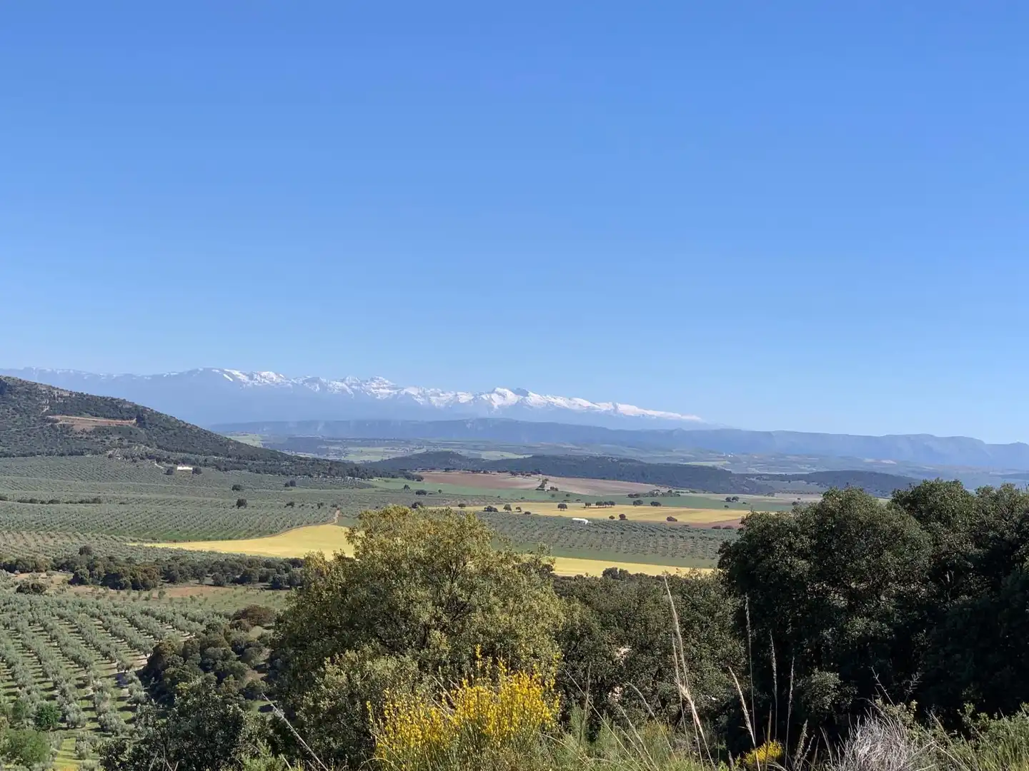 Terreny rústic en venda a Bélmez de la Moraleda, imagen 2
