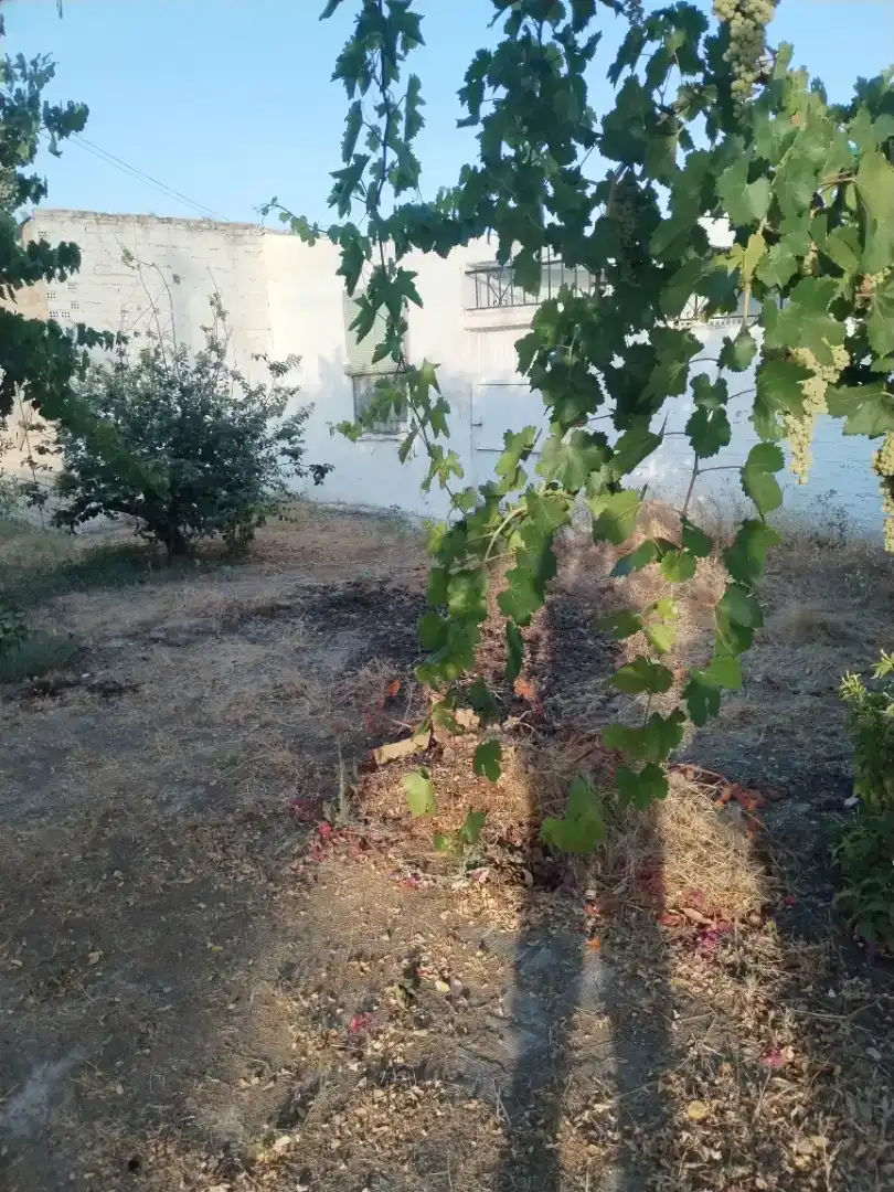 Casa o xalet en venda en Puente Genil amb Aire condicionat