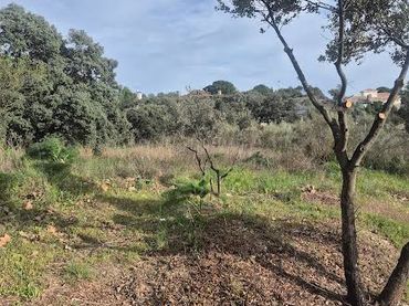 Terrain résidentiel à vendre à Cerro Alarcón