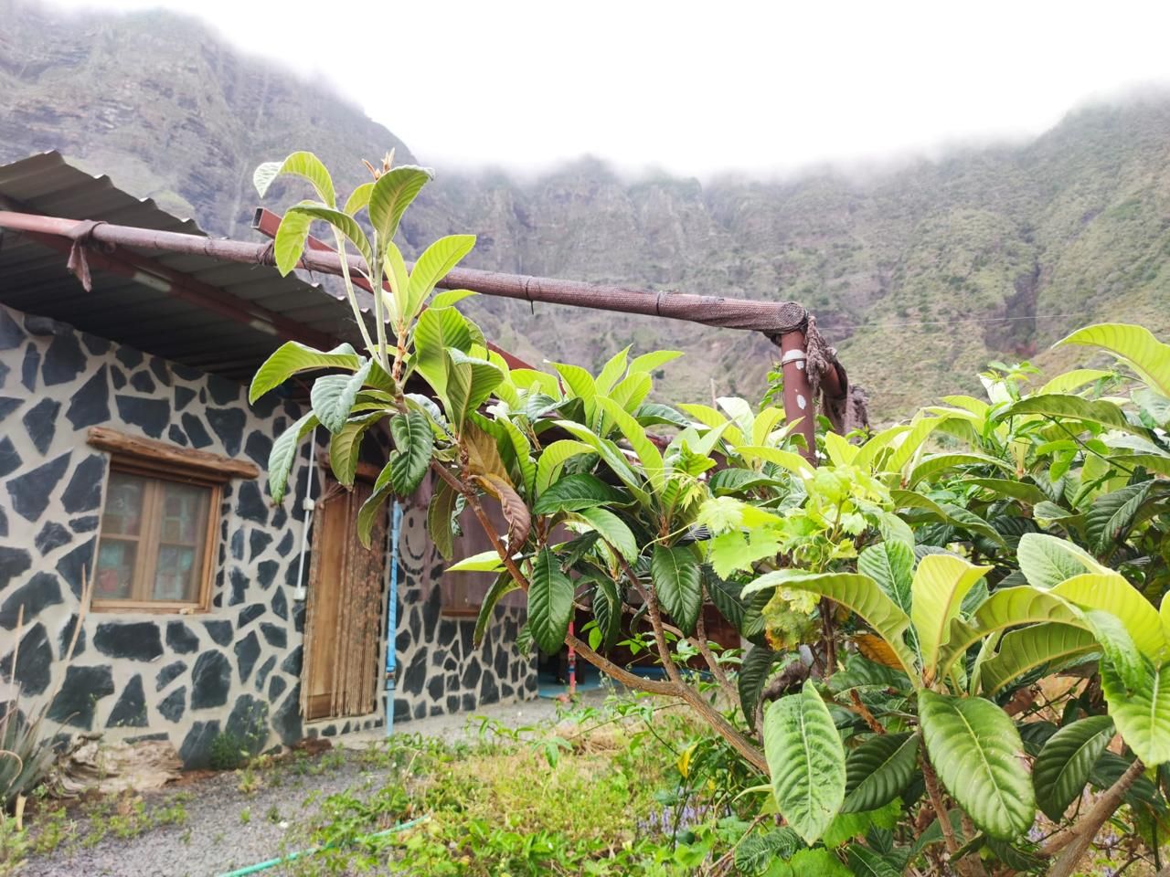 Exterior view of Residential for sale in Frontera