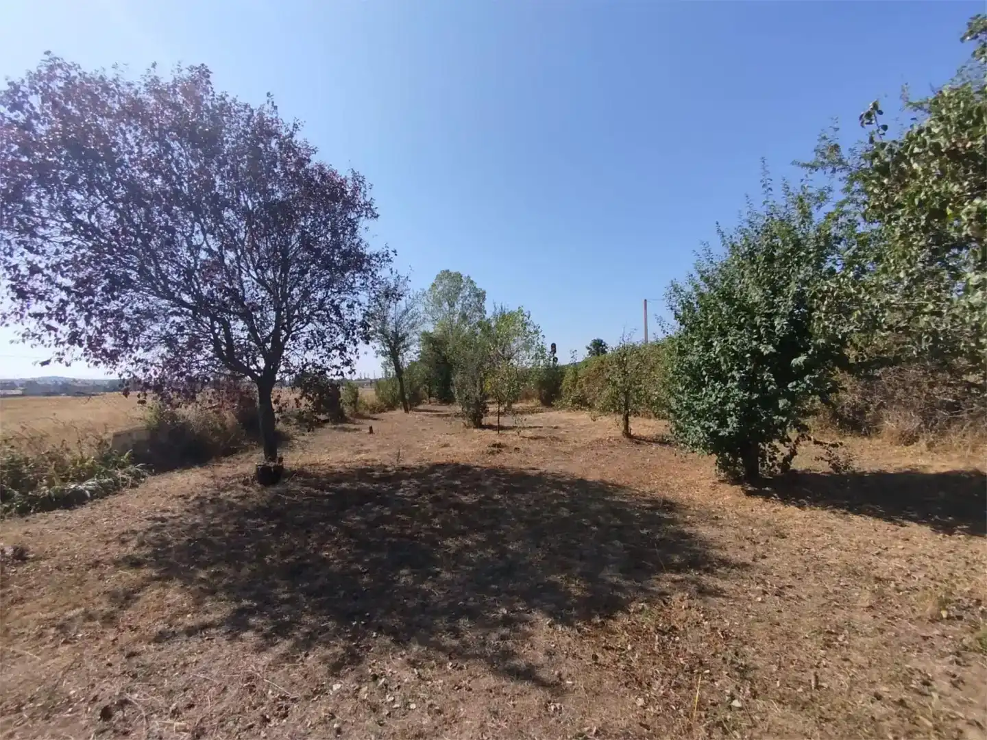 Finca rústica en venda en Garrafe de Torío amb Jardí privat, Parquet i Moblat
