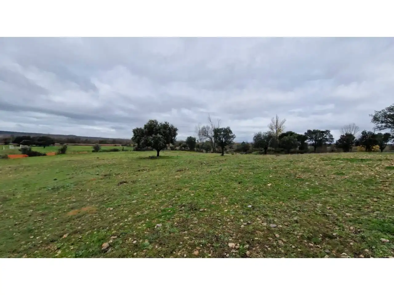 Terreno residenziale in vendita a Poligono 24 46, imagen 7