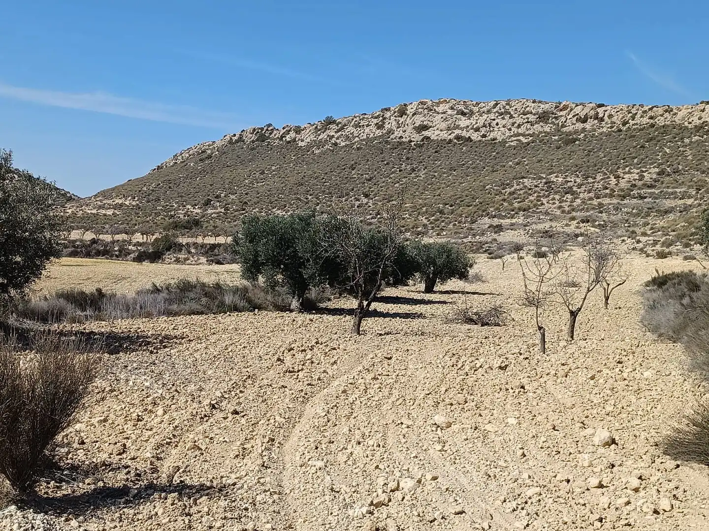Terreno residencial en venta en El Pinós / Pinoso, imagen 2