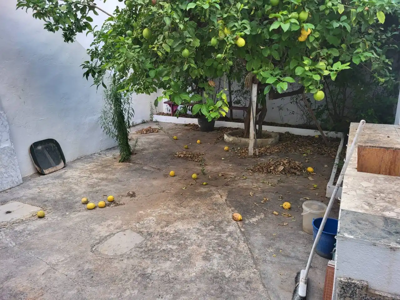 Locale commerciale in vendita a Calle Rey Don Jaime, imagen 6