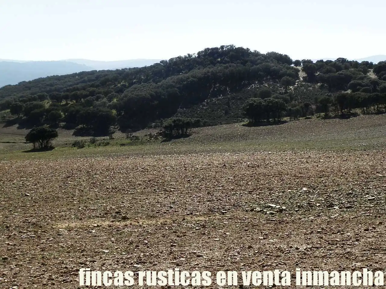 Terreno en venta en Almuradiel