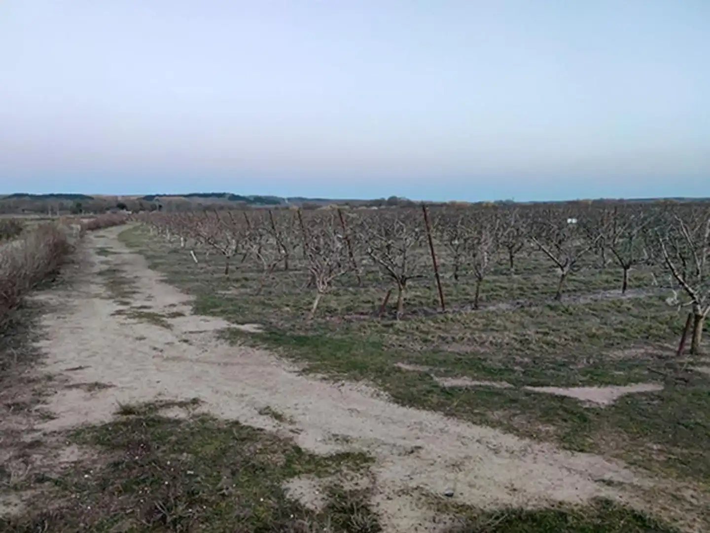 Rustikales Grundstück zum Verkauf in FENOJAL 0, imagen 18
