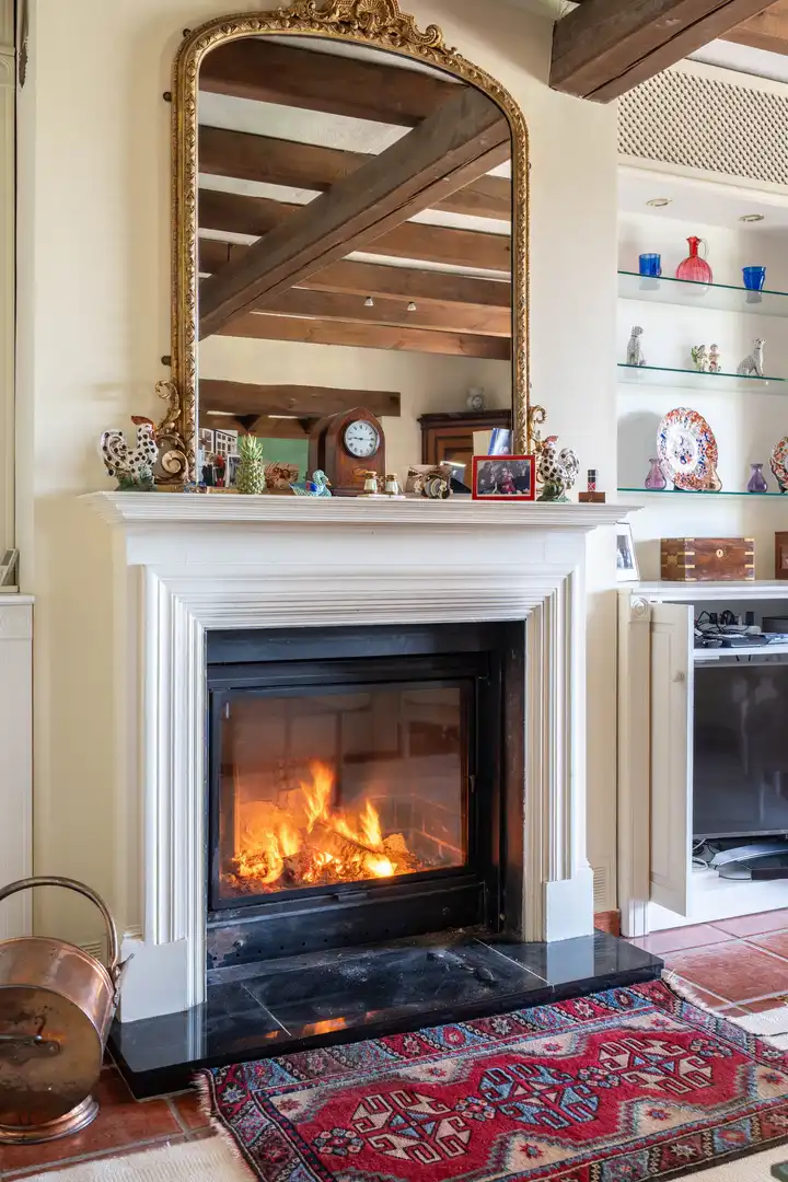Sala de estar de Finca rústica en venta en Mijas con Terraza