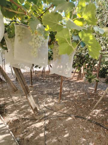 Casa adosada en Venta en Dalías