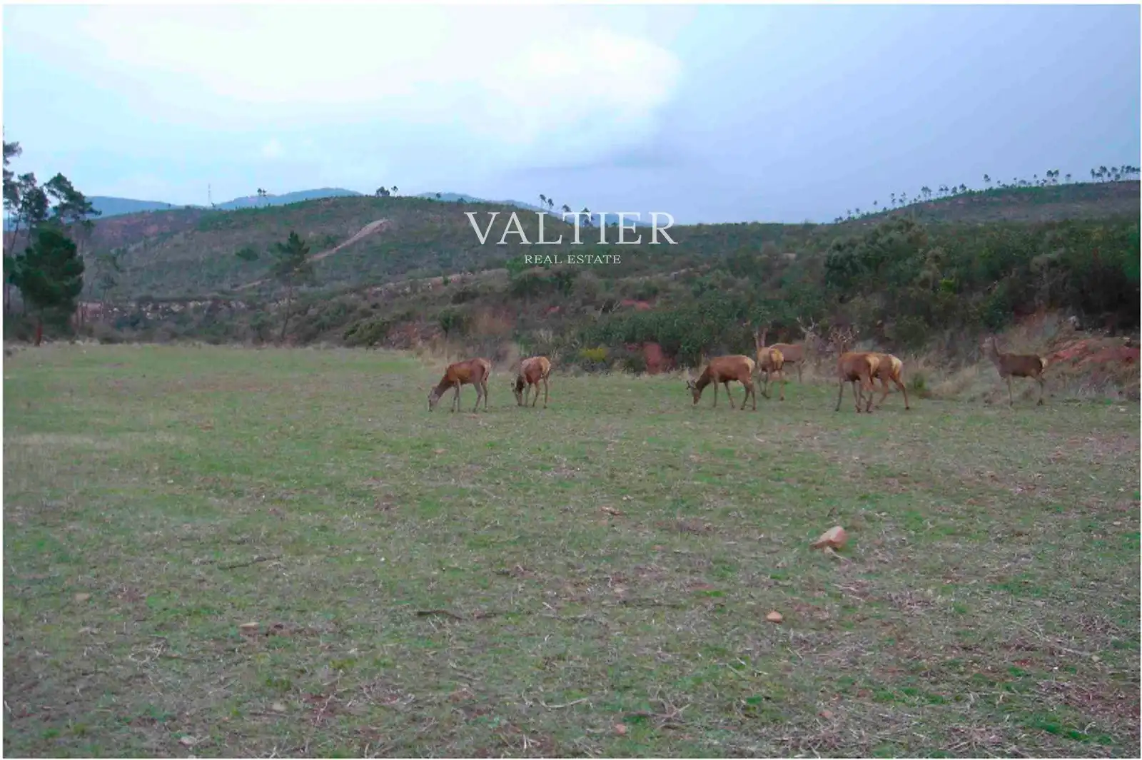 Terreno en venta en Henarejos