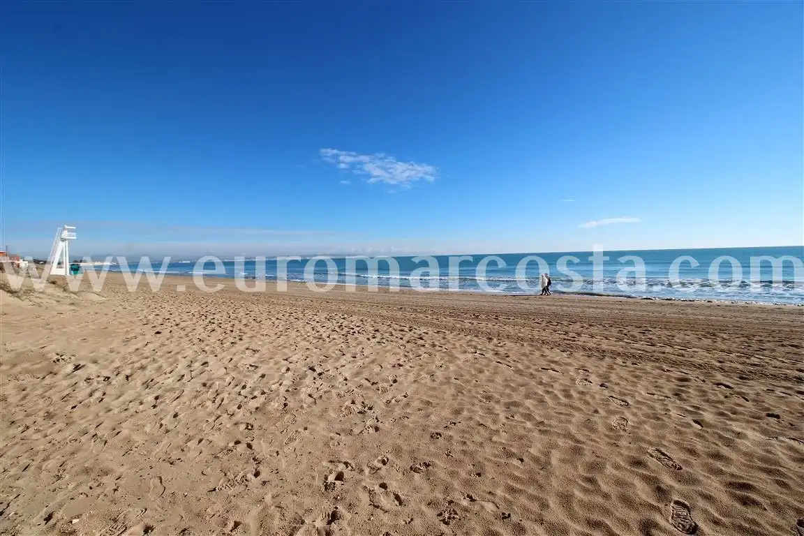Exterior view of Country homes for sale in Elche / Elx  with Private garden and Furnished