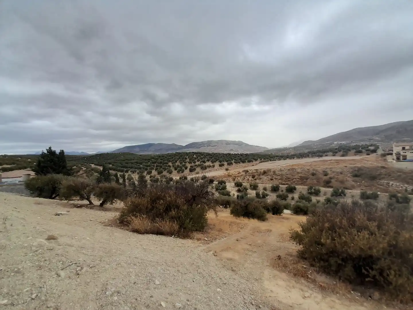 Terreni e lotti in vendita a Puente Tablas - Puente Nuevo - Cerro Molina, imagen 5