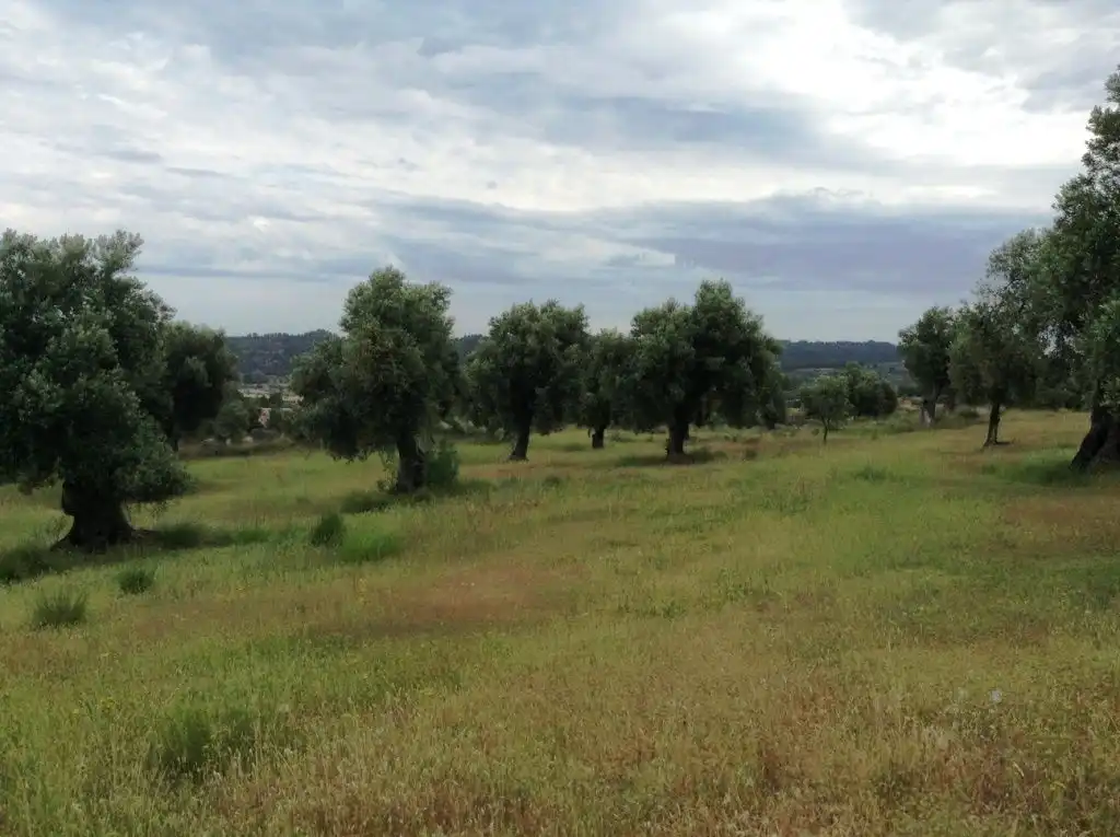 Rural land for sale in Horta de Sant Joan, imagen 2