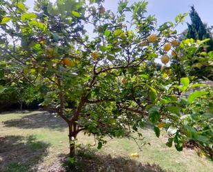 Garden of House or chalet to rent in Gavà  with Air Conditioner, Heating and Private garden