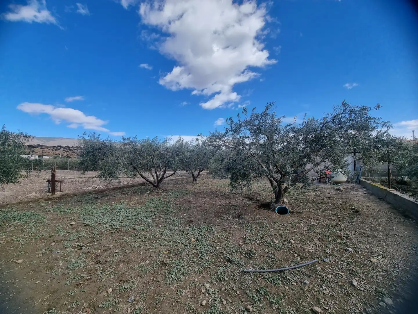 Finca rústica en venta en Pechina con Aire acondicionado, Calefacción y Jardín privado