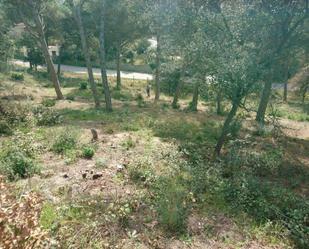 Industrial land for sale in Vilanova del Vallès