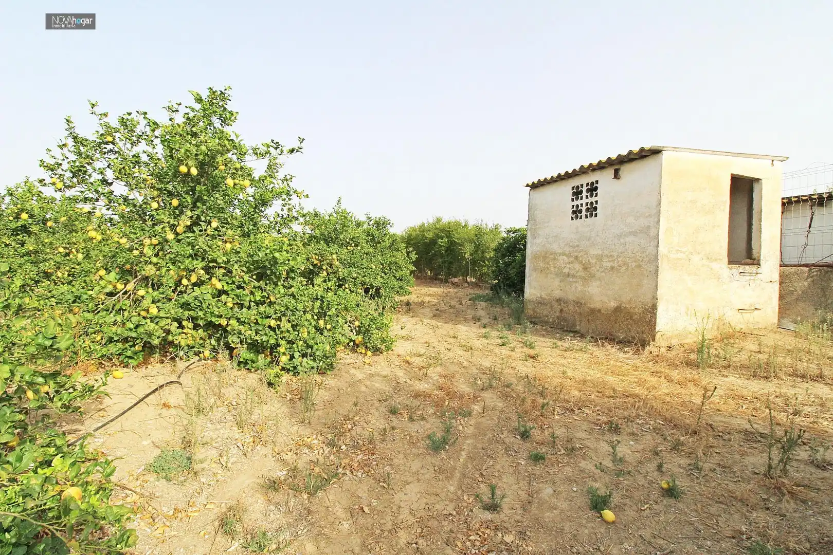 Finca rústica en venta en Málaga