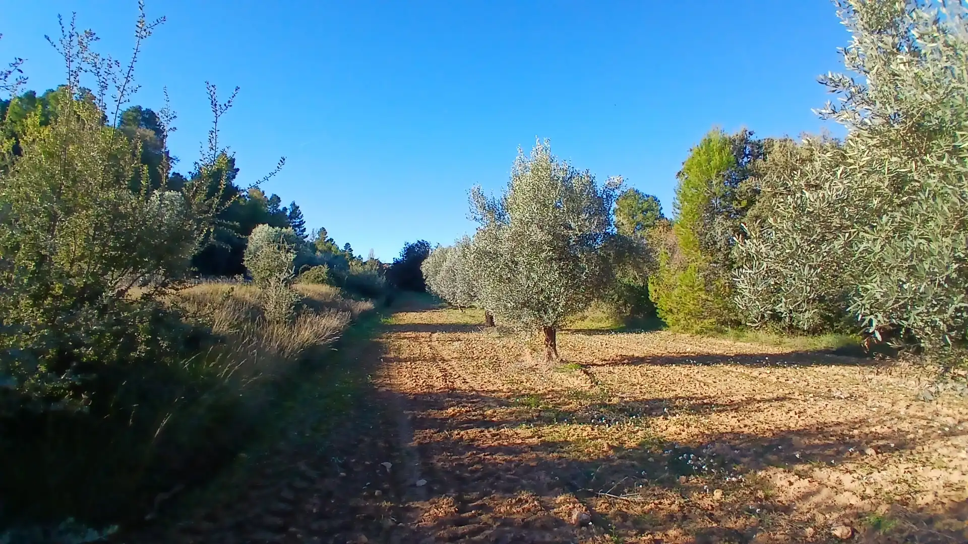 Terreno rustico in vendita a N/A, imagen 6
