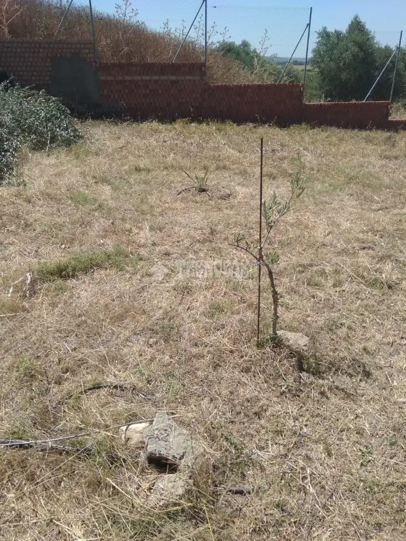 Terreny residencial en venda a Sanlúcar la Mayor, imagen 5
