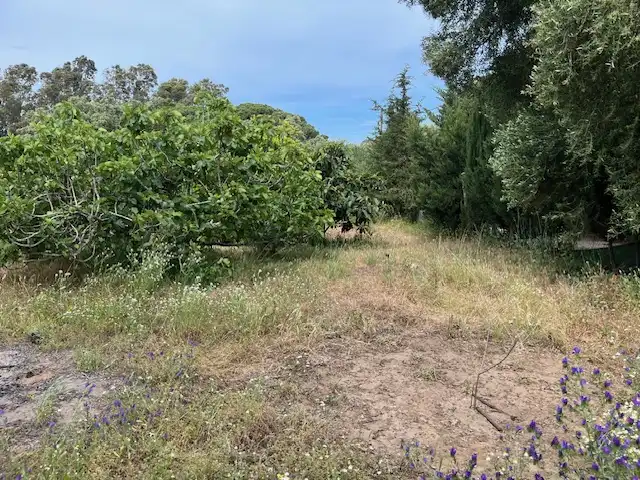 Terreni e lotti in vendita a Zafra, imagen 3