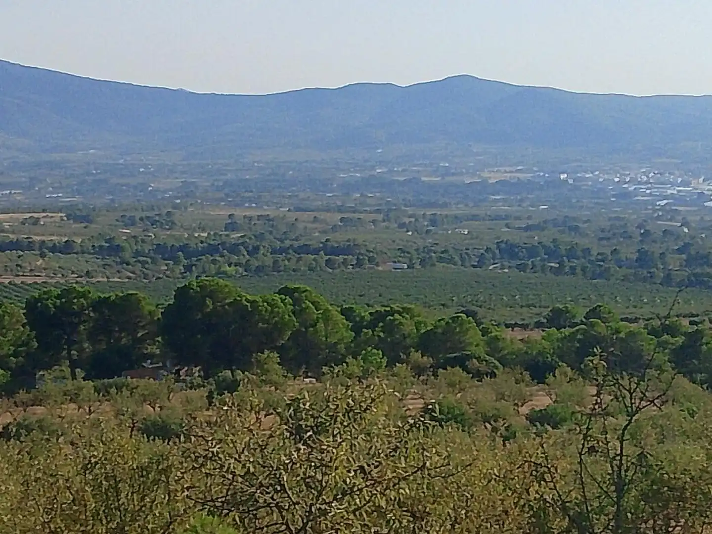 Terreny rústic en venda a N/A, imagen 64